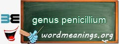 WordMeaning blackboard for genus penicillium